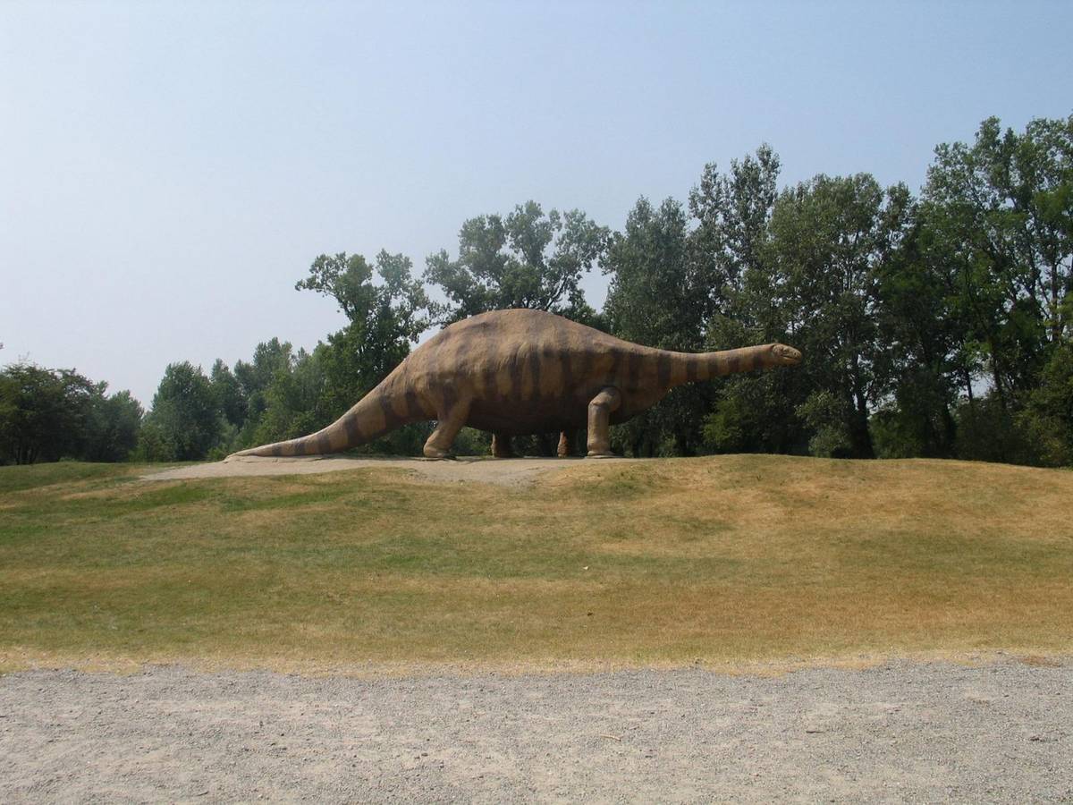Te dinozaury były gigantyczne i bardzo ciężkie! Znamy sekret osobliwego chodu tych olbrzymów